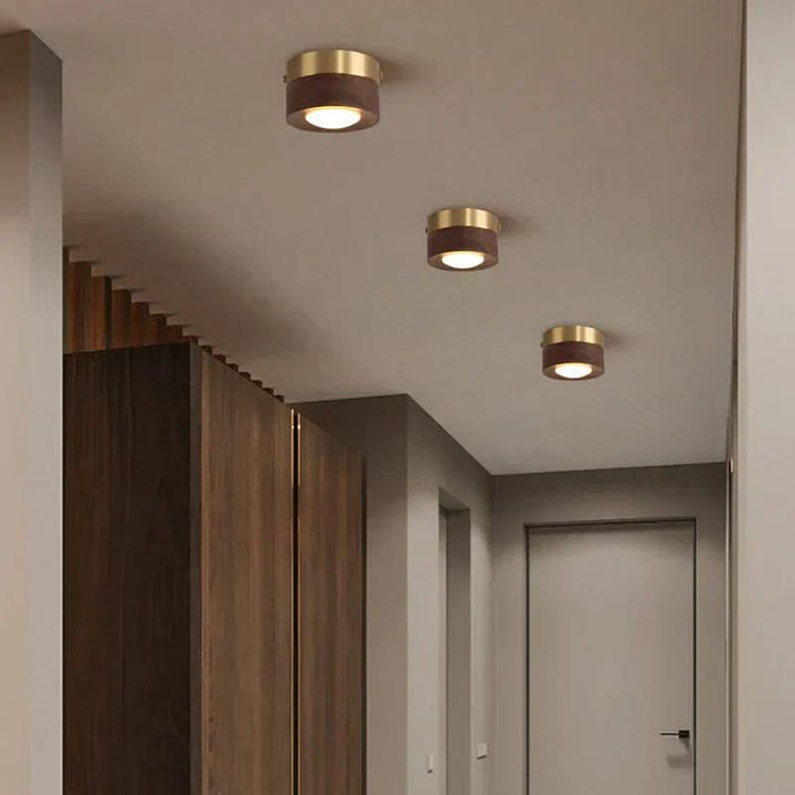Lampe de plafond LED bois de noyer, design contemporain. Lumière chaude et écoénergétique, idéale pour intérieur.