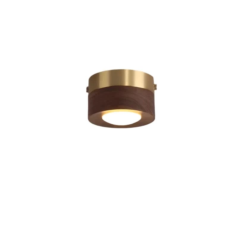Plafonnier design LED, finition bois naturel. Lumière chaleureuse et moderne, parfait pour un intérieur élégant.