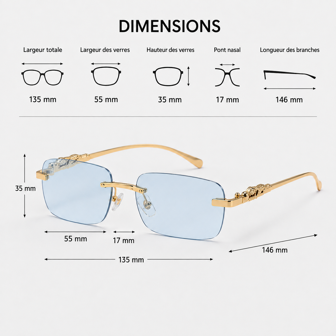 Accessoire de mode : lunettes de soleil homme vintage élégantes, anti-reflets et protection UV pour tout look.