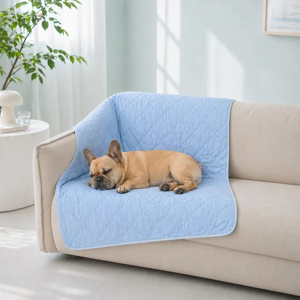 Couverture réversible pour animaux, face rafraîchissante pour été chaud, face douce pour repos.