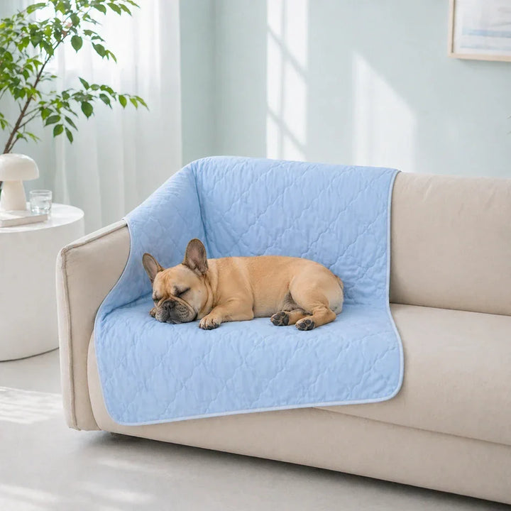 Couverture réversible pour animaux, face rafraîchissante pour été chaud, face douce pour repos.