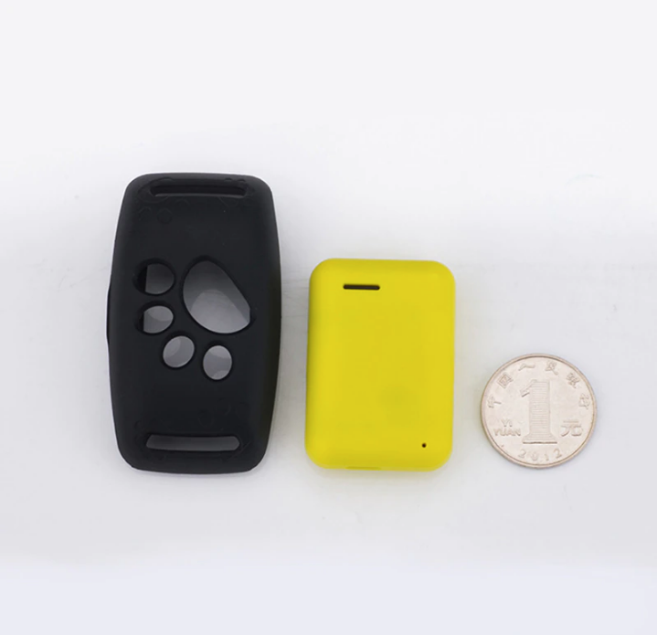 Chat portant le collier GPS PawTrack, assurant suivi et sécurité, traceur étanche pour la tranquillité d'esprit.