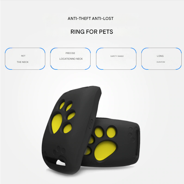 Un petit chien équipé du collier GPS PawTrack étanche, offrant une localisation fiable et sans abonnement.