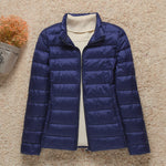 Col montant bleu foncé