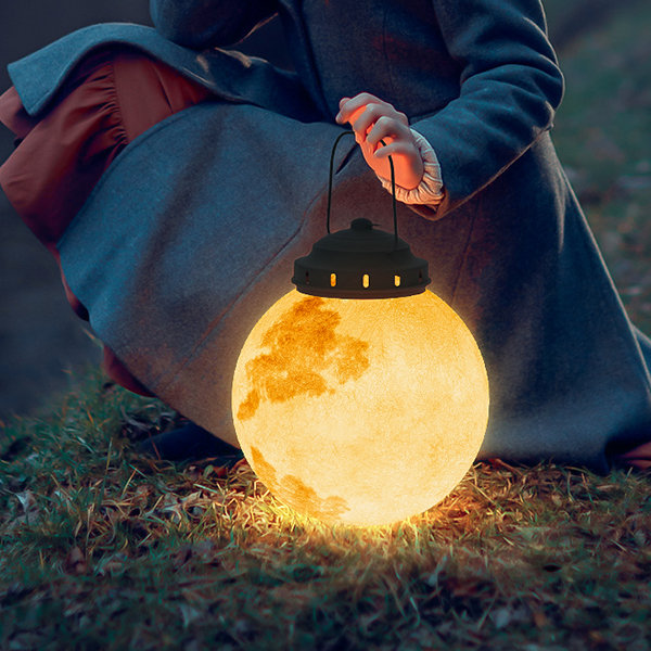 Décoration de jardin avec lampe solaire lune suspendue, crée une ambiance chaleureuse et lumineuse pour les soirées.