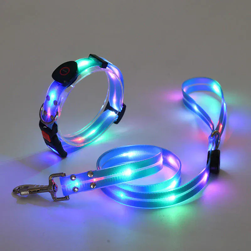 Laisse LED lumineuse et collier LED rechargeable pour chien, améliorant la visibilité et la sécurité du chien la nuit.