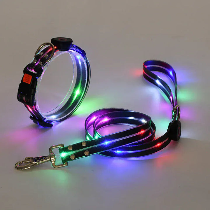 Set collier et laisse LED en nylon robuste pour chien, rechargeable, garantissant sécurité et visibilité optimale de nuit.