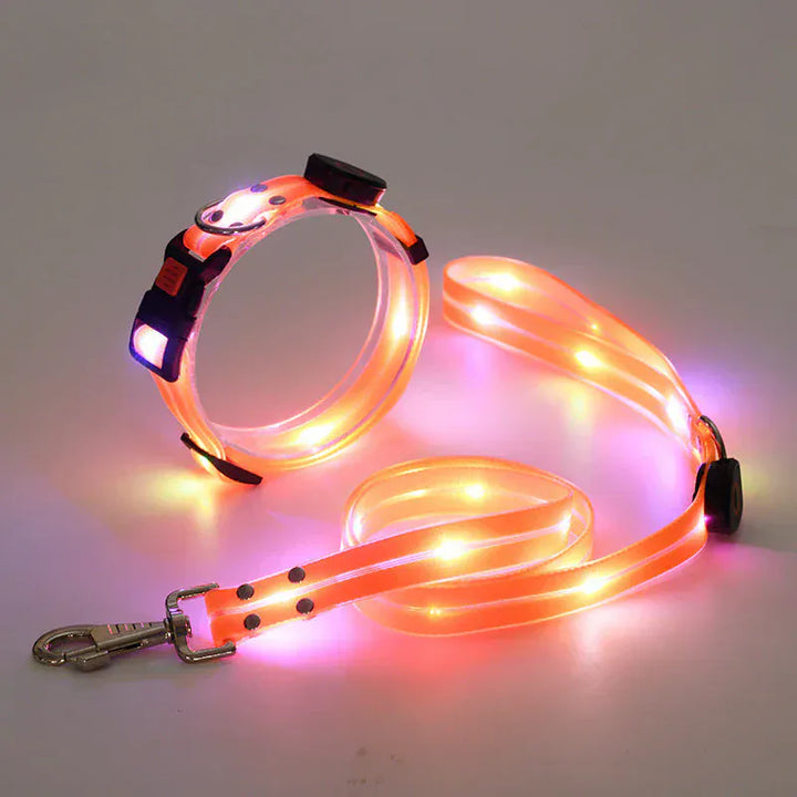 Accessoires chien: Collier et laisse LED rechargeables en nylon pour promenade nocturne sécurisée et haute visibilité.