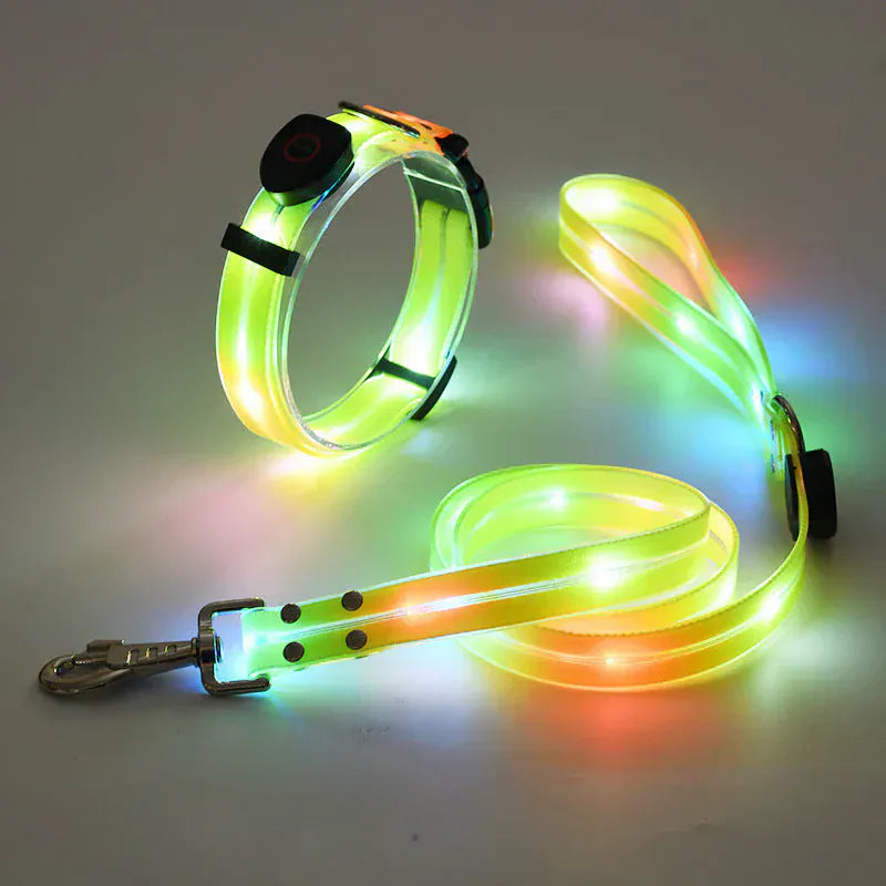 Collier et laisse LED rechargeables en nylon pour chien, assurant sécurité et haute visibilité lors des promenades nocturnes.