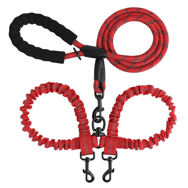 Laisse double en nylon pour chien, conçue pour éviter les enchevêtrements et absorber les chocs.