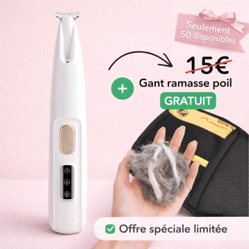 Tondeuse silencieuse LED pour chien et chat, coupe-poils efficace pour toilettage facile à domicile.