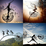 Les 4 styles