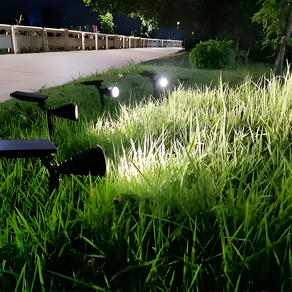 Éclairage de jardin LED solaire autonome, capte l'énergie pour illuminer l'extérieur automatiquement.
