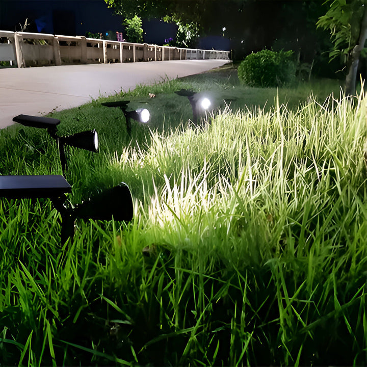 Éclairage de jardin LED solaire autonome, capte l'énergie pour illuminer l'extérieur automatiquement.