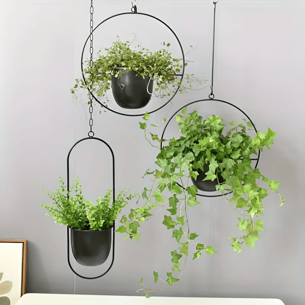 Vase suspendu design épuré avec plante verte, embellit un espace de vie contemporain.