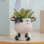 Vache