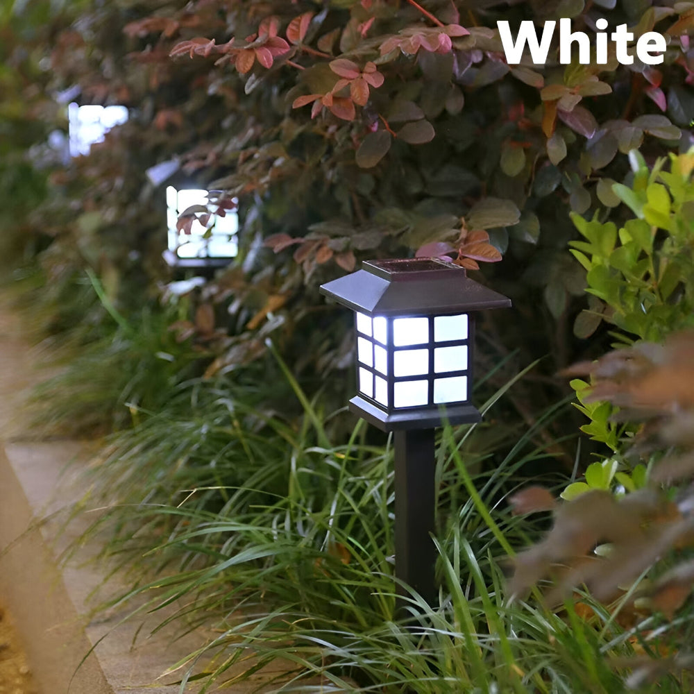 Lampes solaires de jardin LED, design élégant, autonomes, pour éclairage extérieur et sécurité.