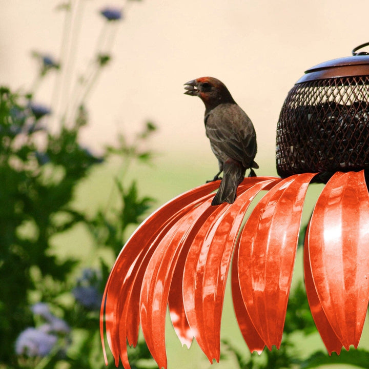 Mangeoire extérieure étanche pour oiseaux sauvages, facile entretien, offre un abri et de la nourriture.