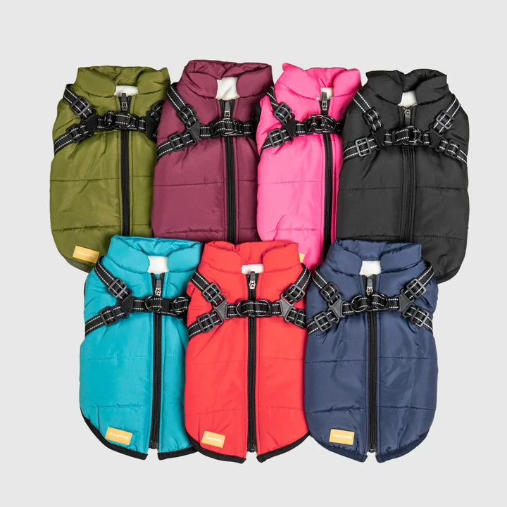 Manteau d'hiver RoyalPaw chaud et imperméable pour chien. Protection élégante et confort par temps froid. Promenade.