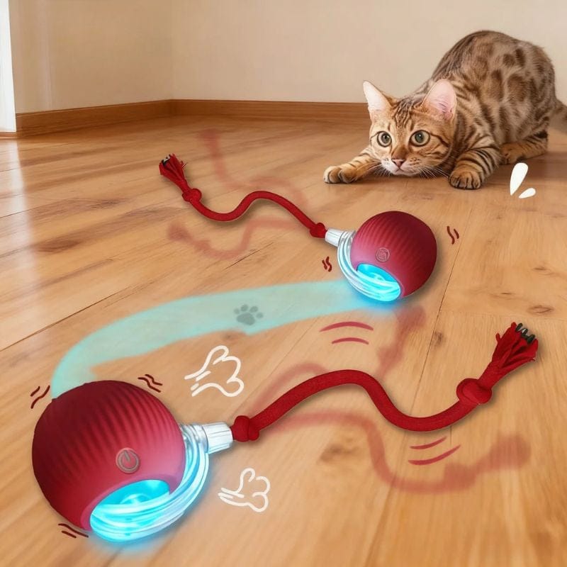 Balle interactive intelligente pour chats, en silicone et ABS, offre stimulation et jeu autonome.