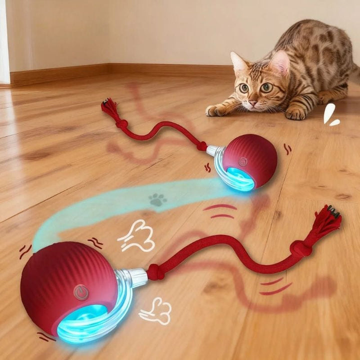 Balle interactive intelligente pour chats, en silicone et ABS, offre stimulation et jeu autonome.