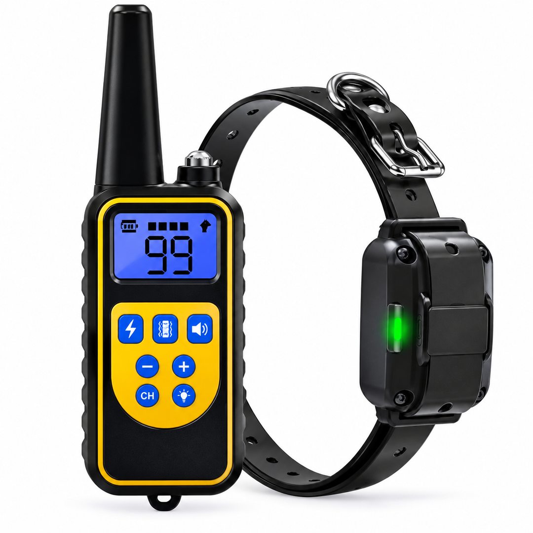 Collier de dressage étanche 800m pour chien, modes vibrations. Éducation canine efficace à distance.
