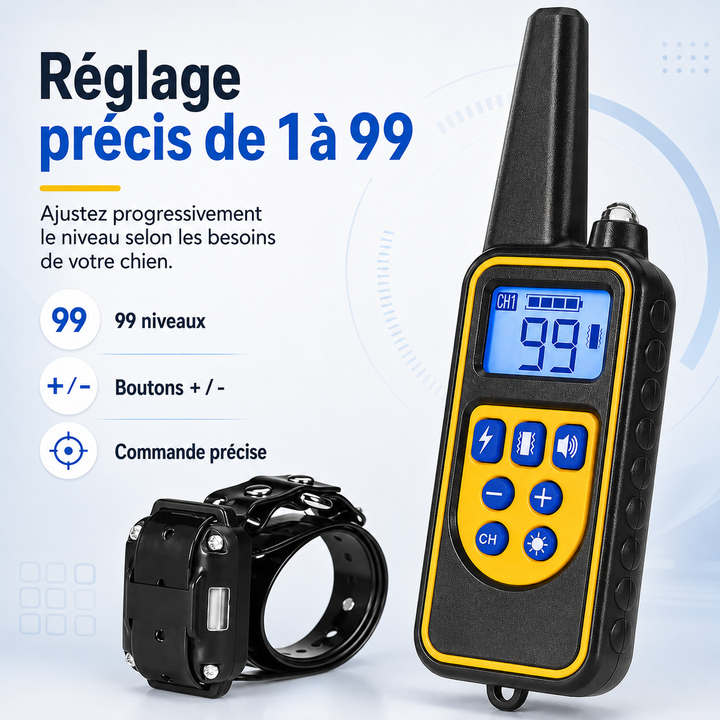 Collier d'entraînement étanche pour chiot et chien adulte, modes vibrations doux et efficaces.