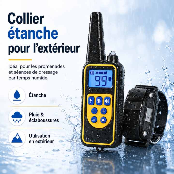 Collier éducatif pour chien avec vibrations, aide au dressage et au contrôle du comportement canin.