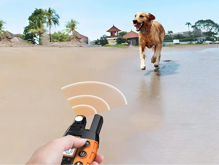 Accessoire moderne pour dressage chien : collier étanche avec télécommande 1000m pour obéissance.
