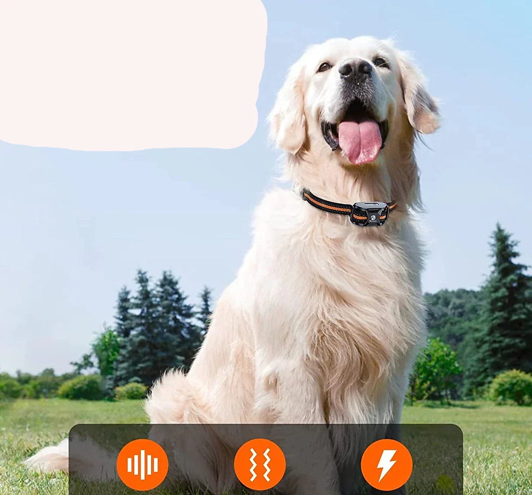 Collier de dressage étanche pour chien avec options de vibration et stimulation, télécommande 1000m.