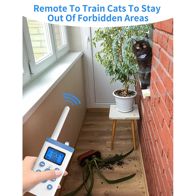 Collier de dressage pour chat avec télécommande intuitive, idéal pour l'éducation féline et le contrôle du comportement.