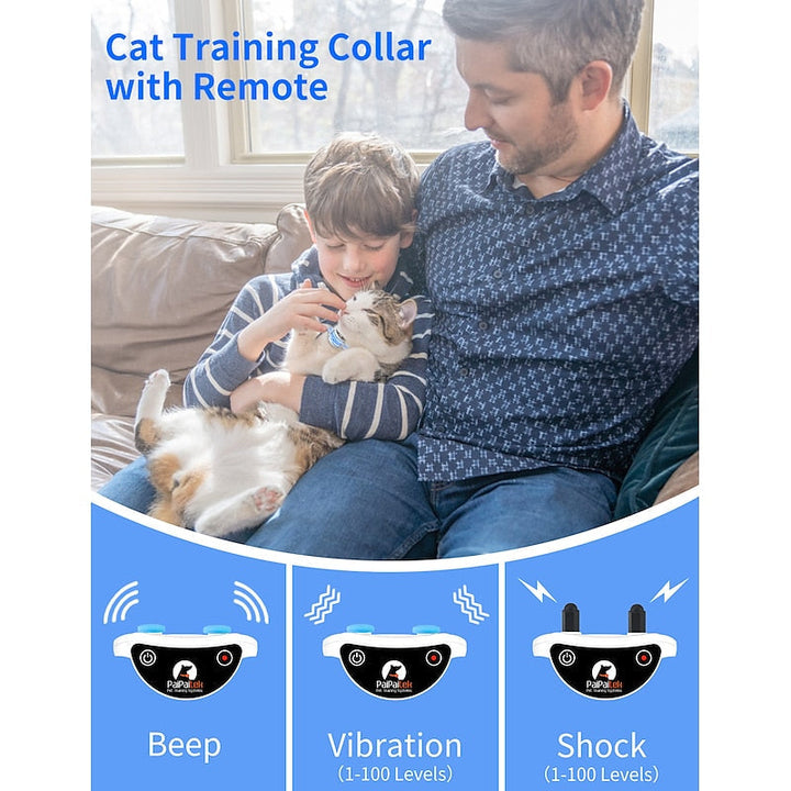 Chat portant un collier de dressage, améliorant l'obéissance et réduisant les miaulements excessifs.