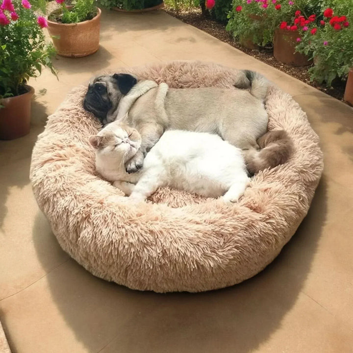 Lit douillet pour chien ou chat, offrant un confort maximal et un environnement anti-stress.