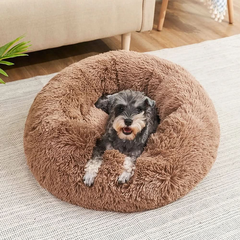 Accessoire chien : lit apaisant pour un confort optimal et des nuits paisibles pour votre animal.