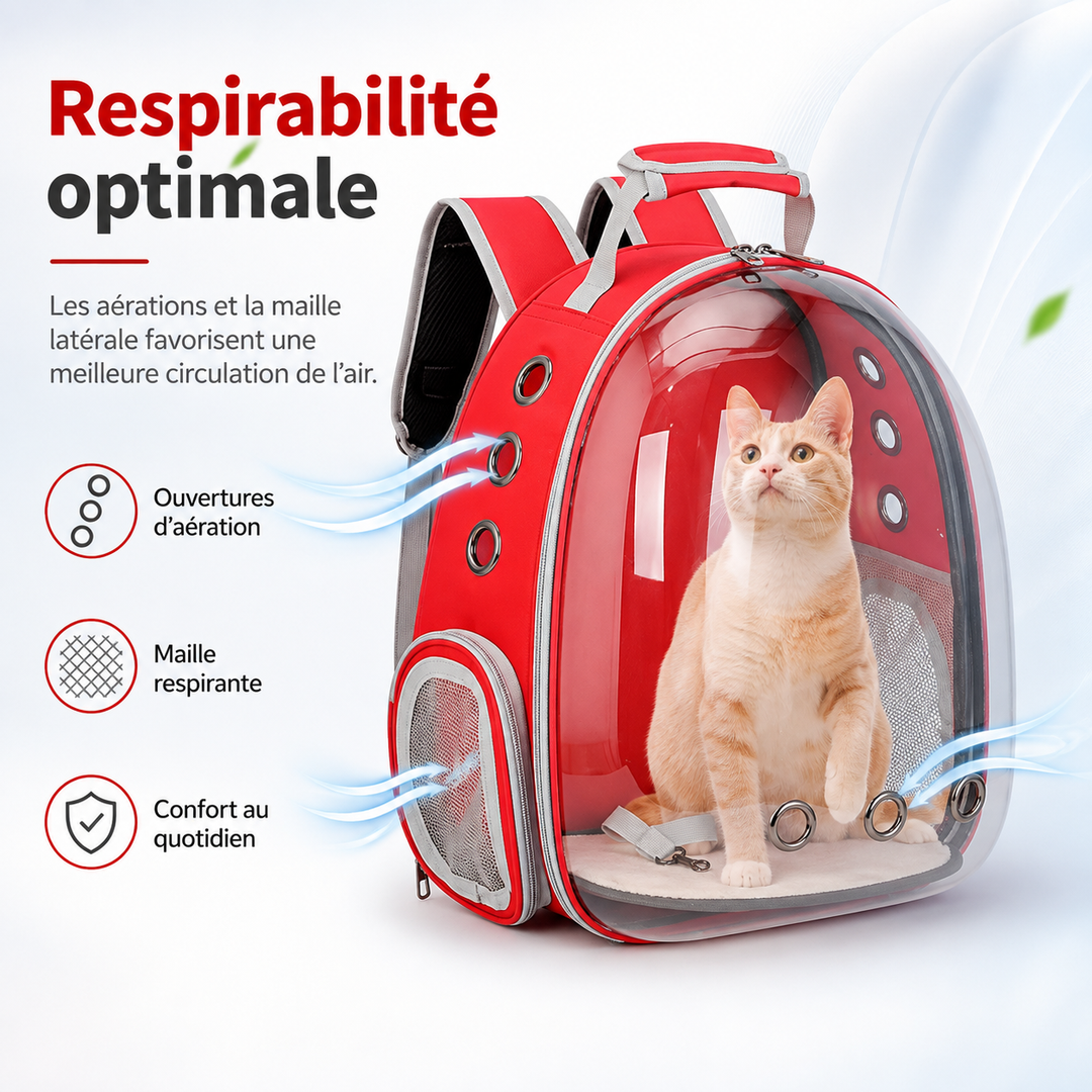 Sac de transport PetRoyale pour chat et chiot. Vue transparente, ventilation et sécurité pour la tranquillité.