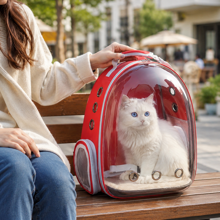 Accessoire PetRoyale : sac de transport pour chat. Transparent, aéré, ultra-confortable pour tout voyage.
