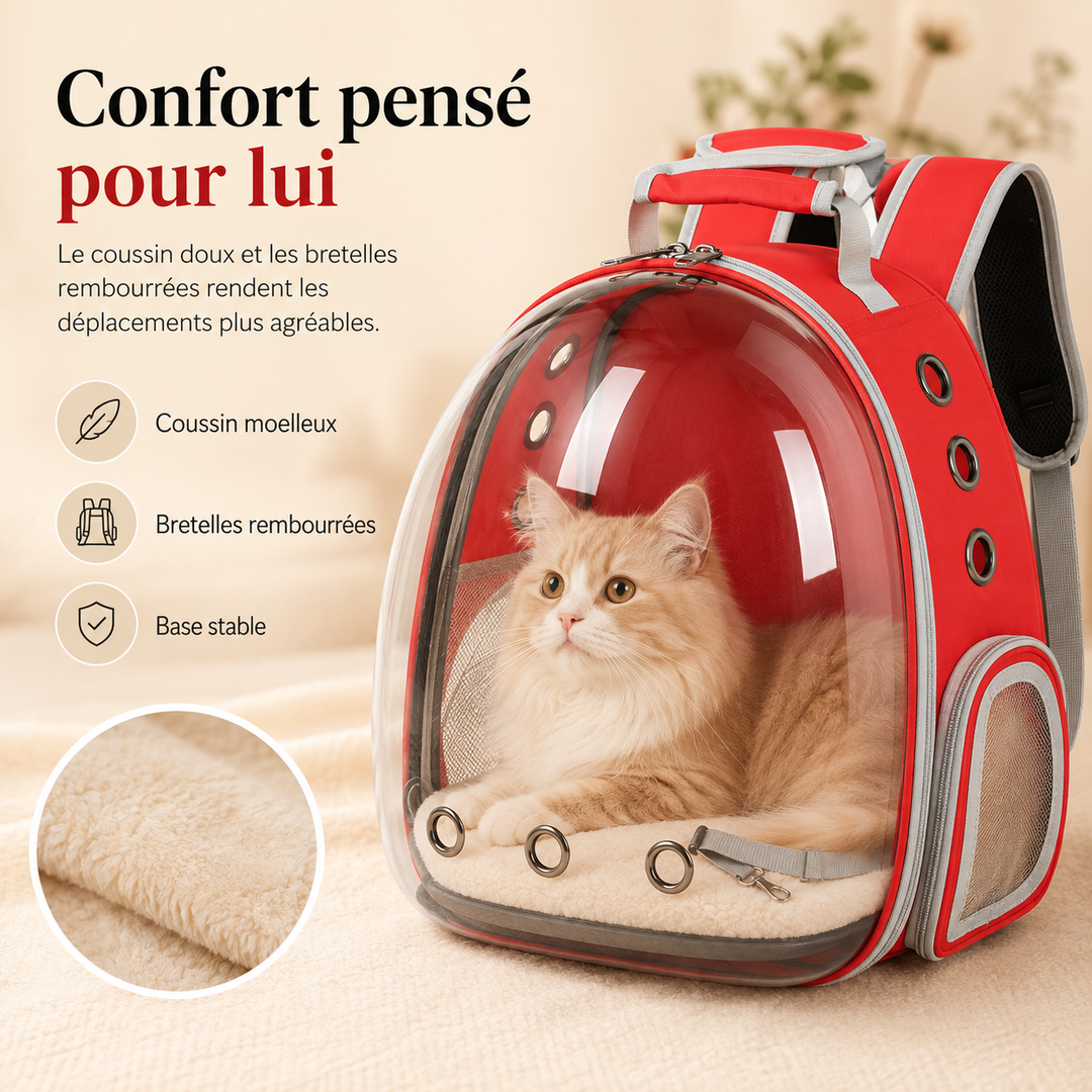 Voyagez avec votre chat dans le sac transparent PetRoyale. Confortable, aéré et sécurisé.