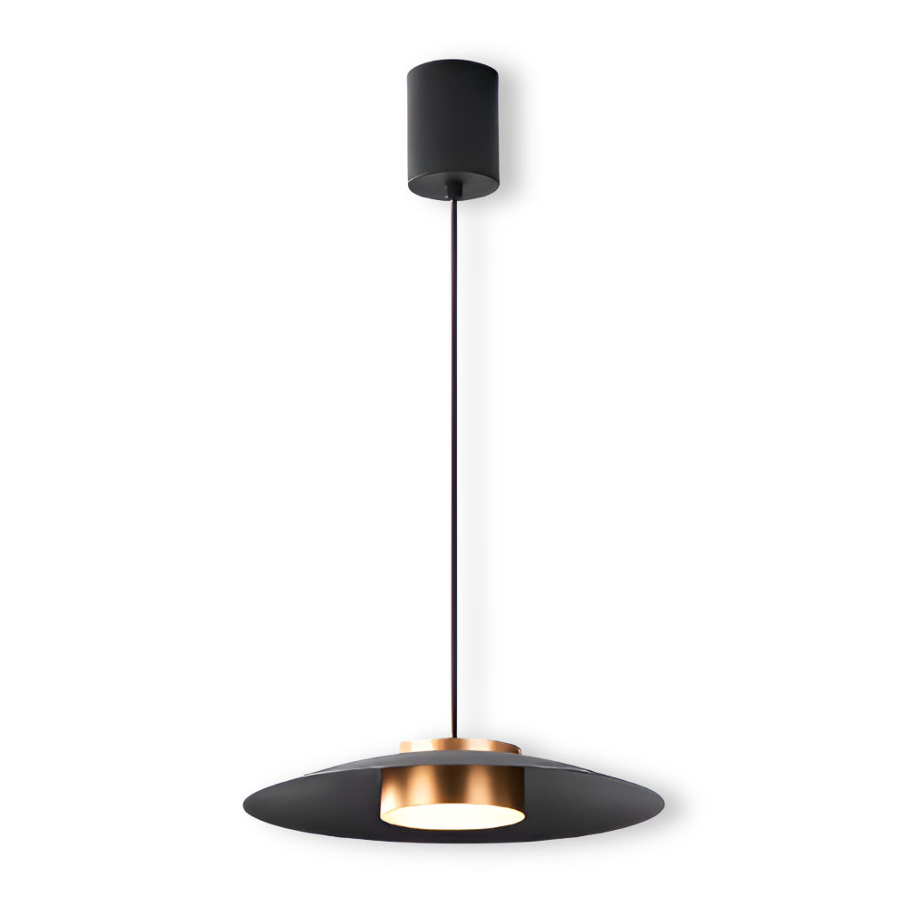 Style épuré: plafonnier LED suspendu dimmable. Design nordique industriel pour un éclairage moderne et réglable.