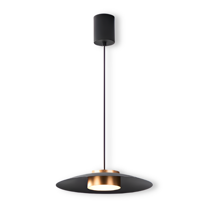 Style épuré: plafonnier LED suspendu dimmable. Design nordique industriel pour un éclairage moderne et réglable.