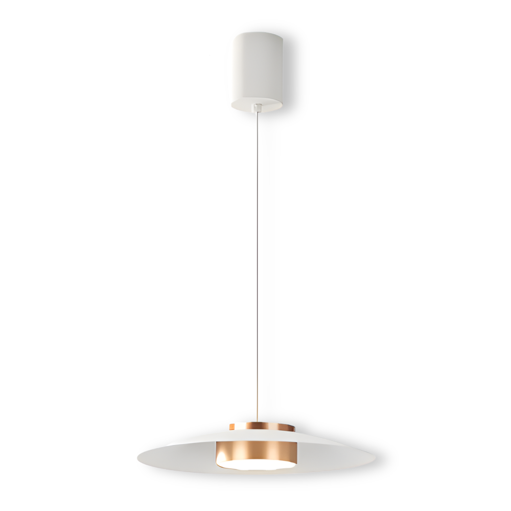Lampe suspendue dimmable, luminaire LED style industriel nordique. Éclairage moderne réglable, décoration intérieure.