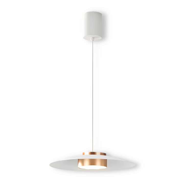 Lampe suspendue dimmable, luminaire LED style industriel nordique. Éclairage moderne réglable, décoration intérieure.