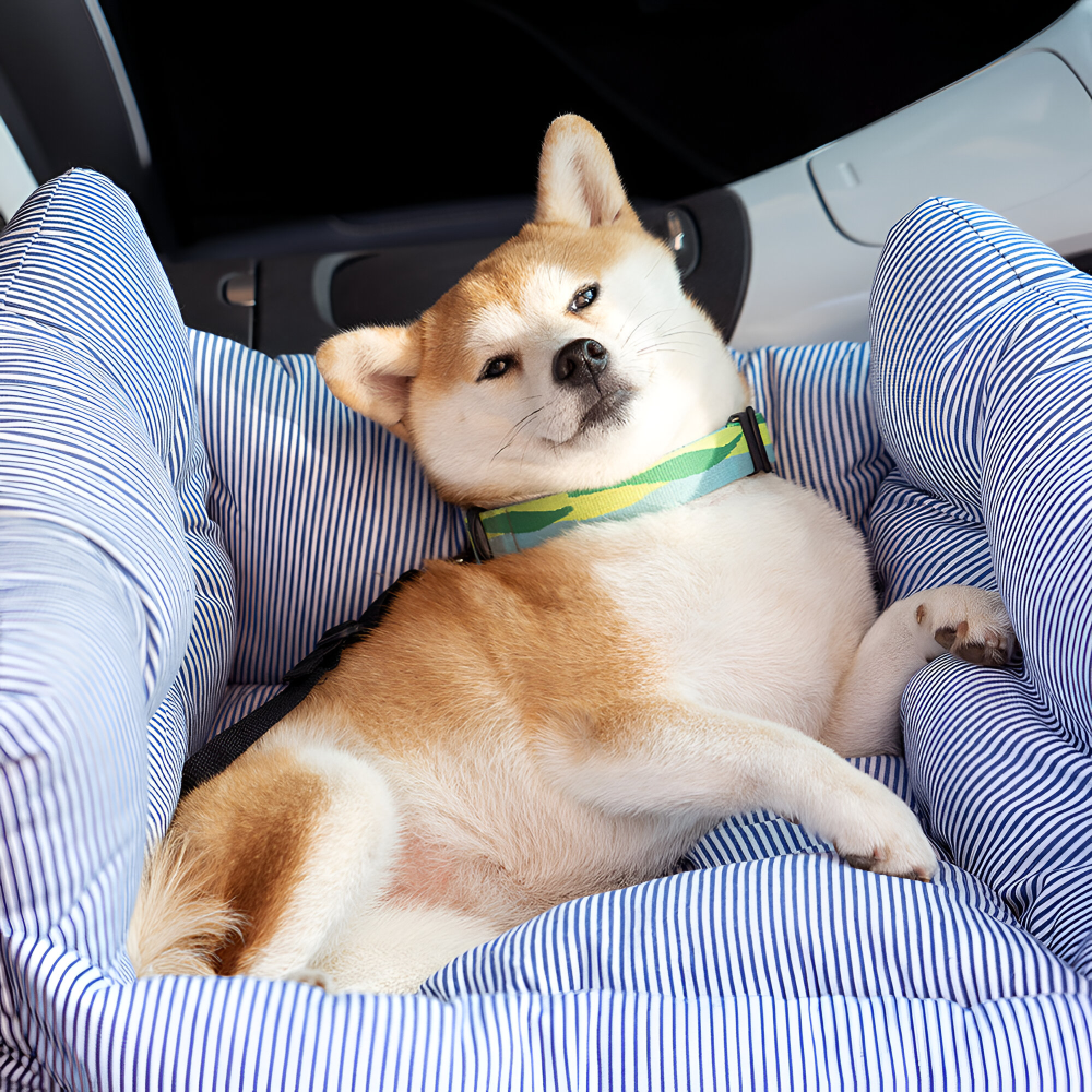 Votre chien voyage confortablement et en sécurité dans son siège auto, comme à la maison.