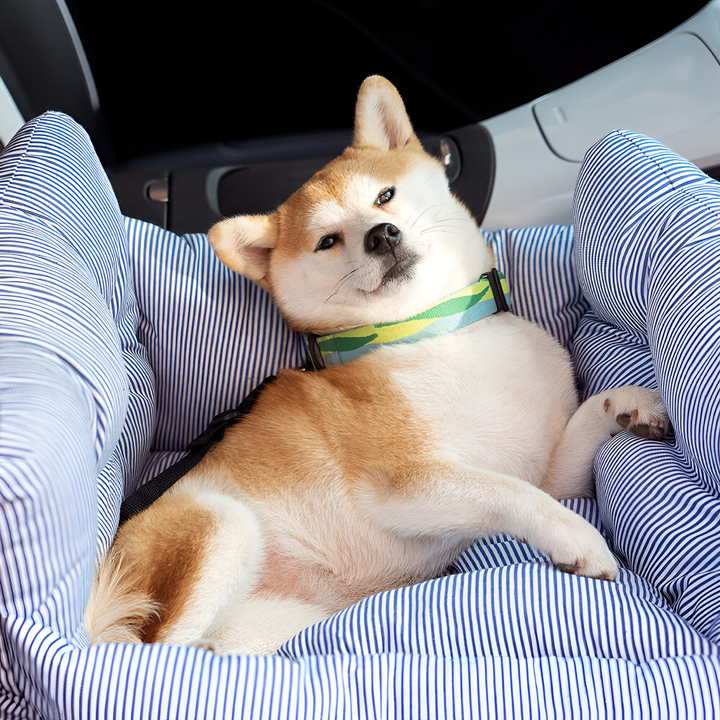 Votre chien voyage confortablement et en sécurité dans son siège auto, comme à la maison.