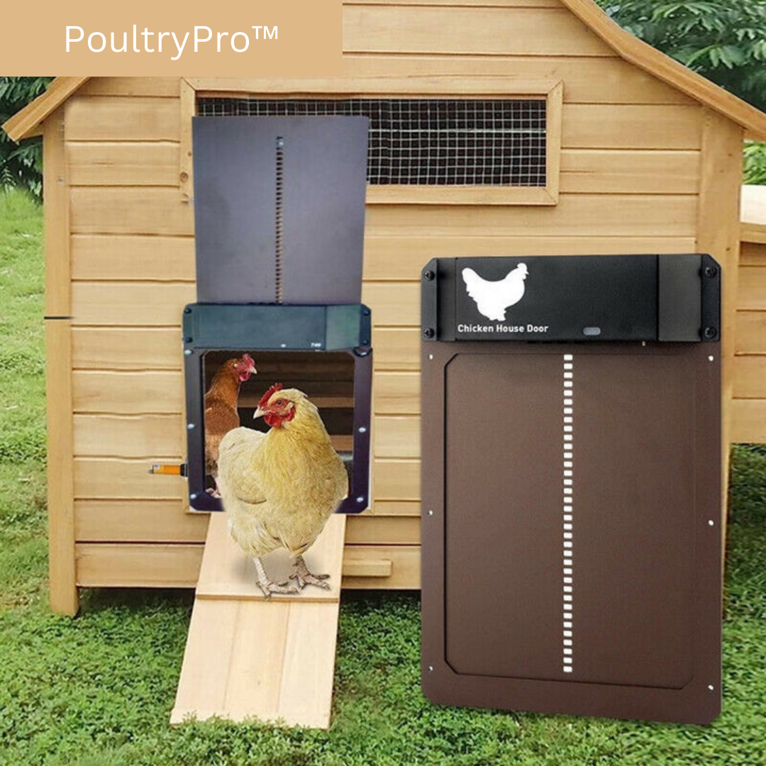 Porte automatique poulailler avec capteur. Idéale pour l'élevage, offre sécurité et confort aux volailles.
