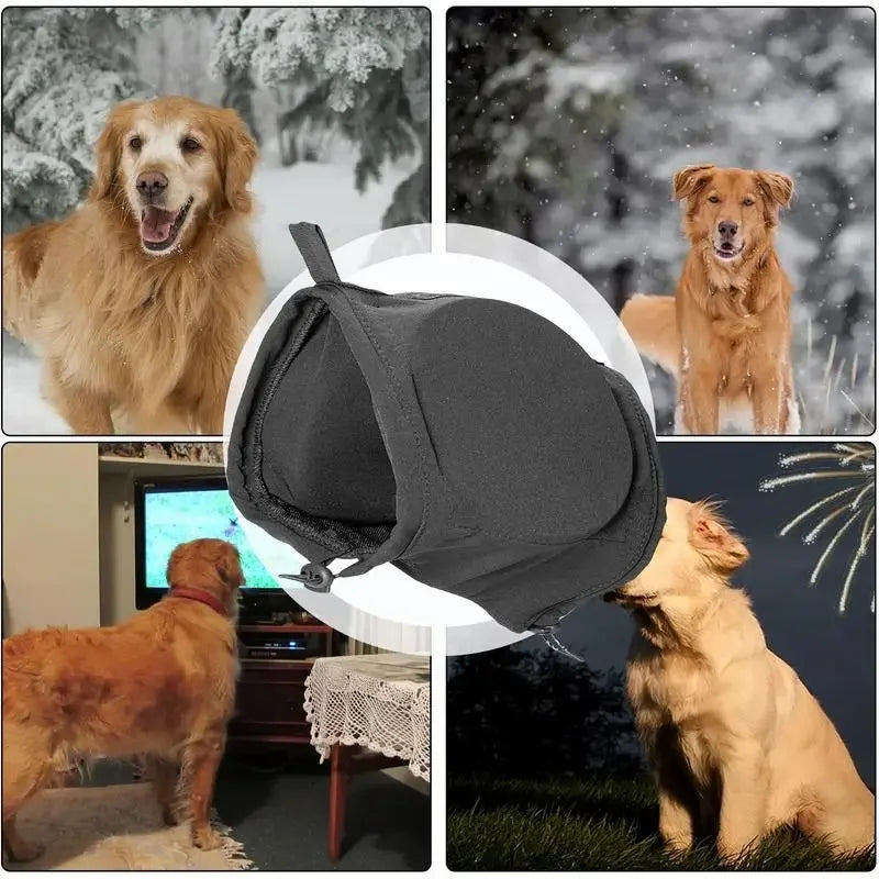 Gros plan: Casque antibruit pour chien, polyester doux. Accessoire de protection auditive confortable et ajustable pour animaux.