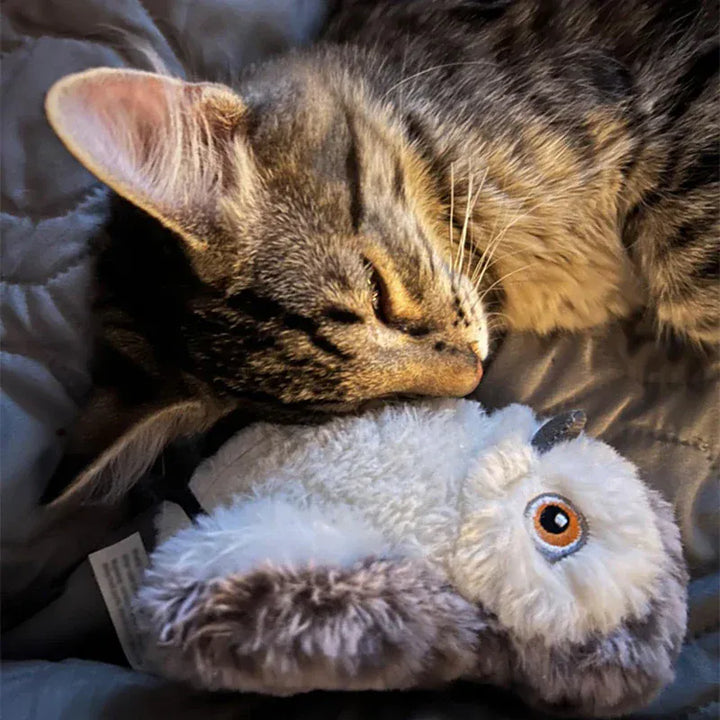 Jouet rechargeable USB oiseau pour chat, stimule l'activité et l'instinct de chasse félin. Jeu interactif.