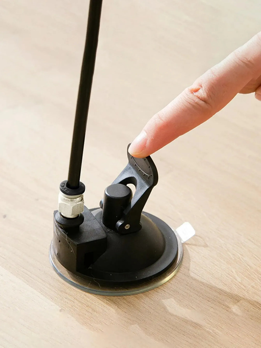 Accessoire chat interactif: plume suspendue avec ventouse, offrant une activité féline sécurisée et amusante.