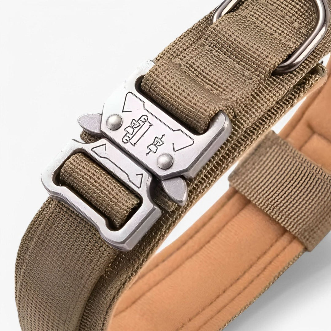 Collier tactique TACTICALK9 pour chien, essentiel pour l'entraînement professionnel et la sécurité animale.