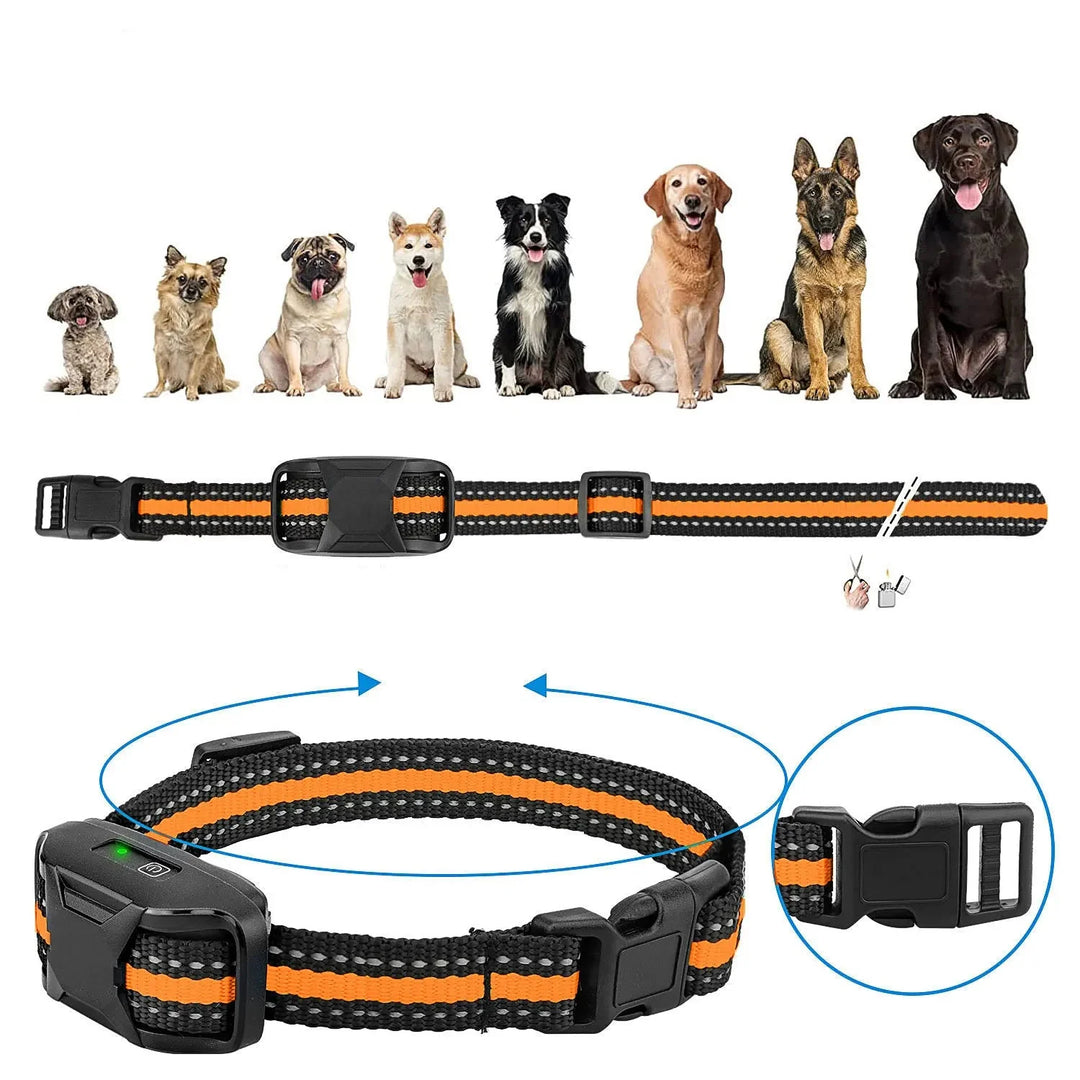 Système d'éducation canine par collier et télécommande, pour un entraînement facile et maîtrisé de votre chien.