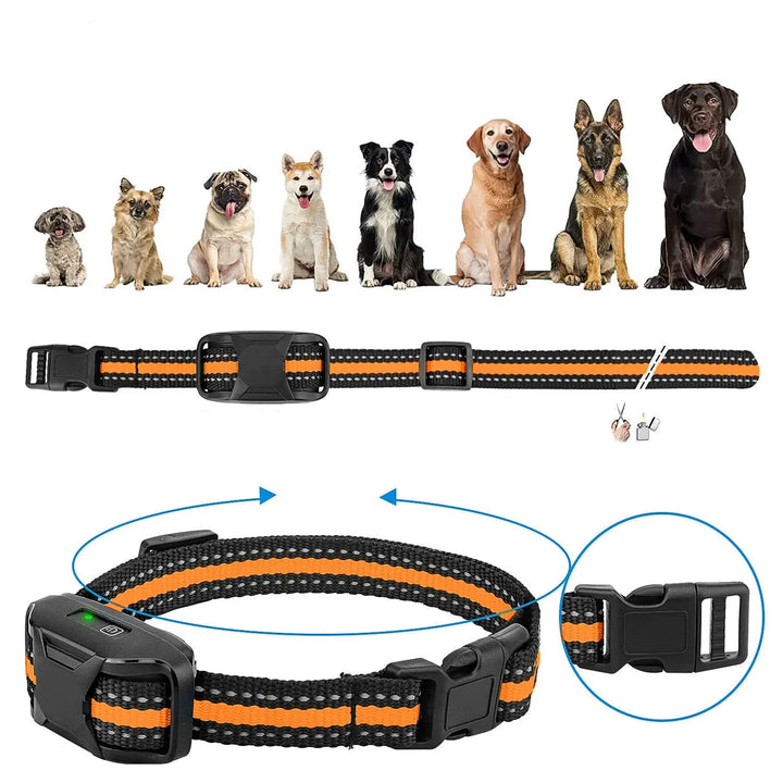 Système d'éducation canine par collier et télécommande, pour un entraînement facile et maîtrisé de votre chien.